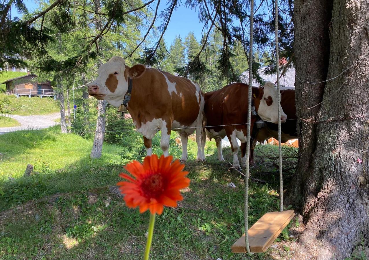 Gemuetliche Huette In Den Bergen Villa Sonnenalpe Nassfeld Ngoại thất bức ảnh